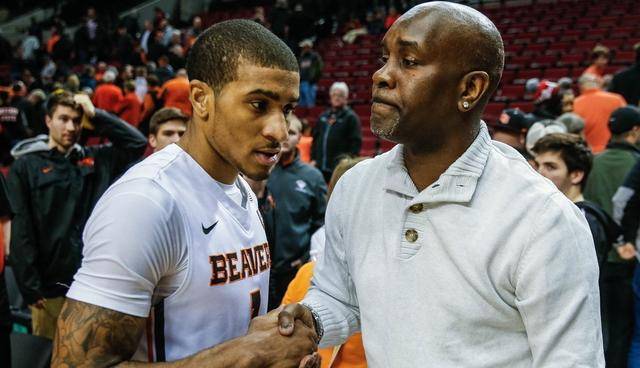 度比赛和训 度比赛和训